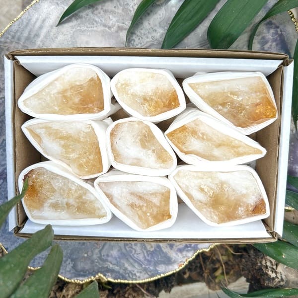 Kit Caixa Coleção Citrino