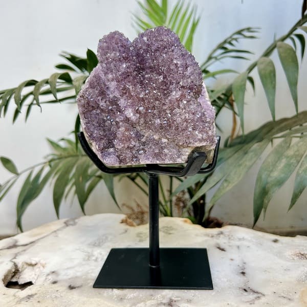Drusa de ametista pequena na base